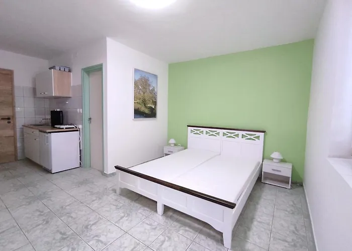 Szandra Apartmanhaz דירה גיינסדיאס